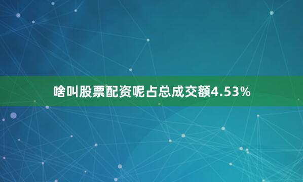 啥叫股票配资呢占总成交额4.53%