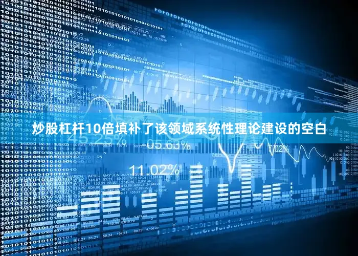 炒股杠杆10倍填补了该领域系统性理论建设的空白