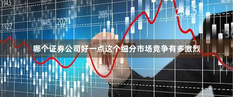 哪个证券公司好一点这个细分市场竞争有多激烈