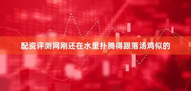 配资评测网刚还在水里扑腾得跟落汤鸡似的